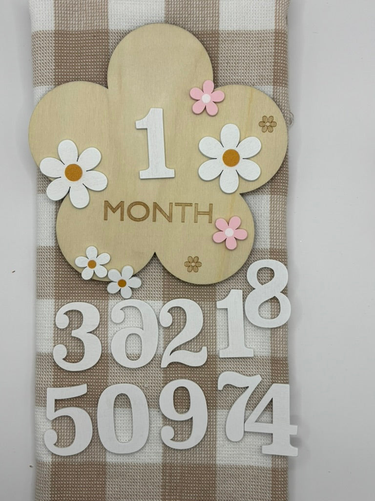 Baby | Wooden Milestone Sign