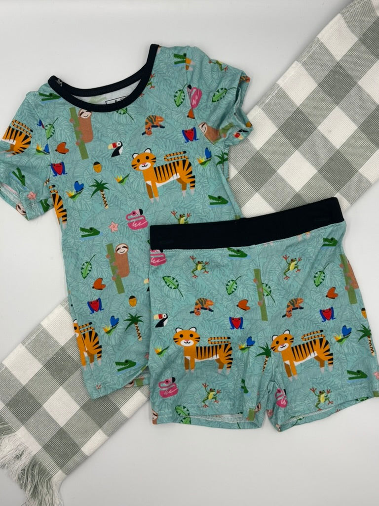 Z00! 2pcs summer sets | 6-12M
