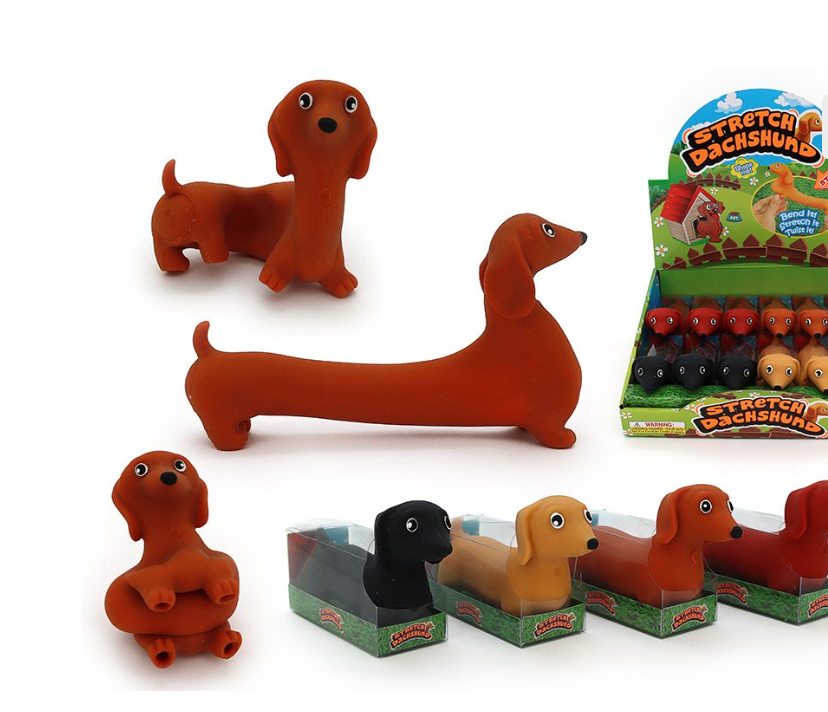 Stretch Dachshound