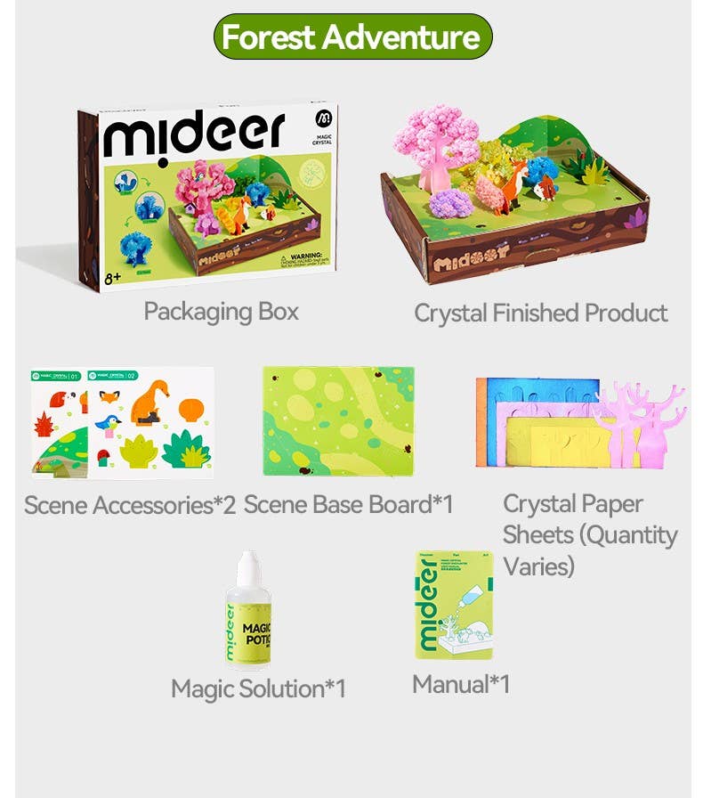 Mideer Magic Crystal - Forest Encounter