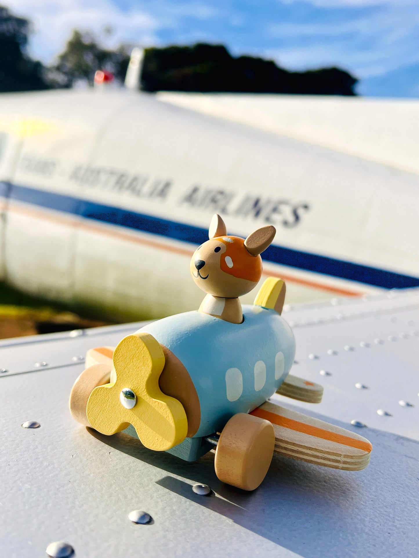 Onya Kids Wooden Kangaroo Airplane