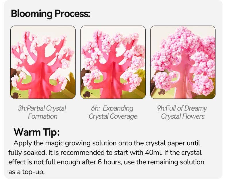 Mideer Magic Crystal - Forest Encounter