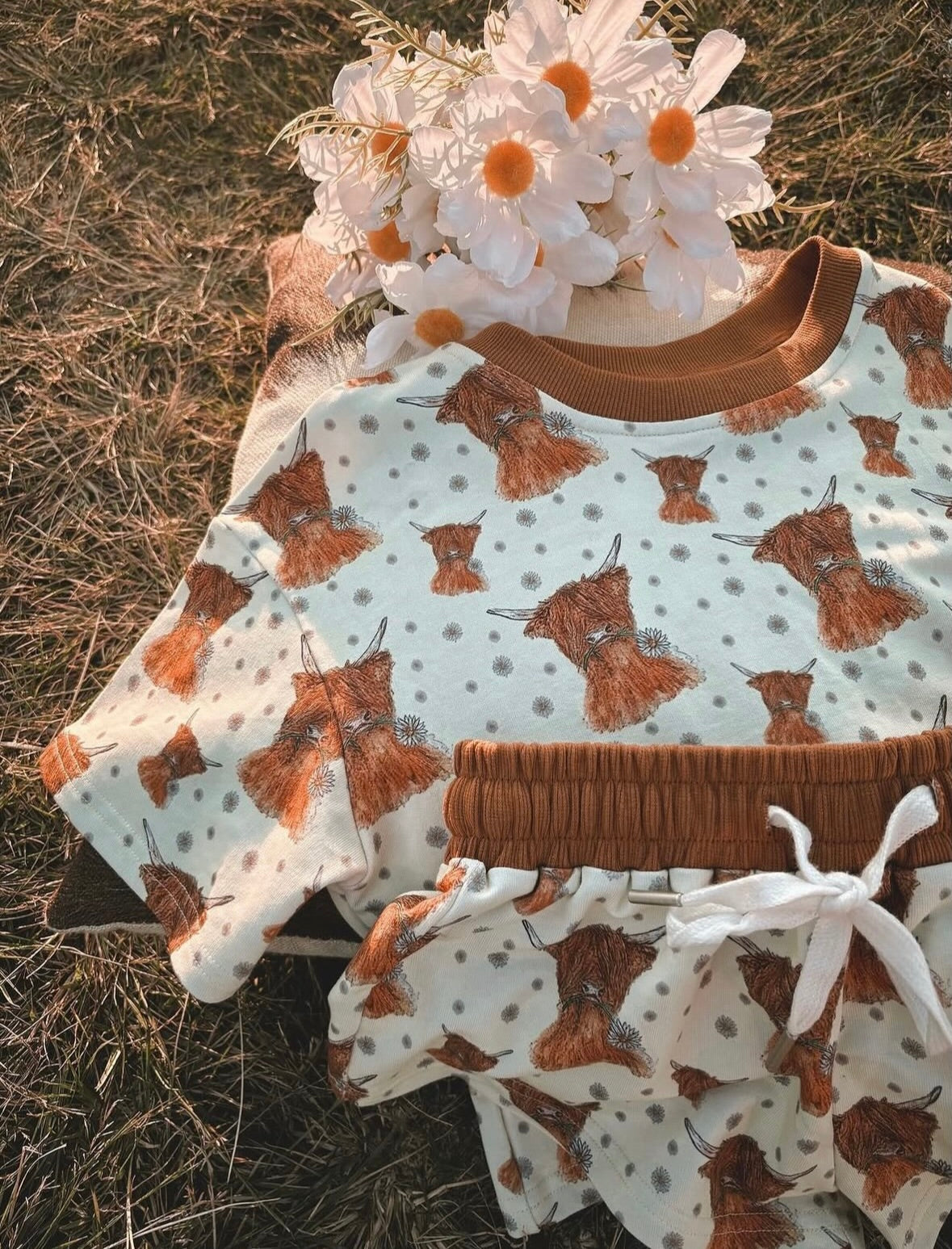 Highland Cows 2pcs Set