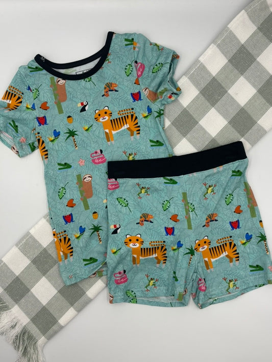 Z00! 2pcs summer sets | 6-12M