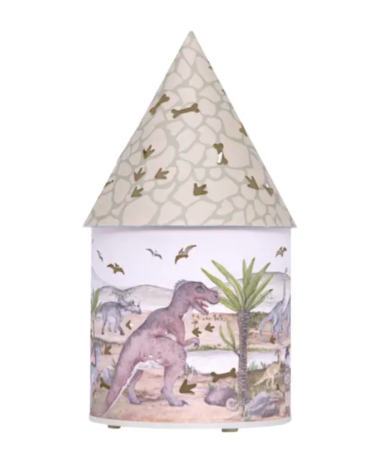 Dinosaur Light Up House