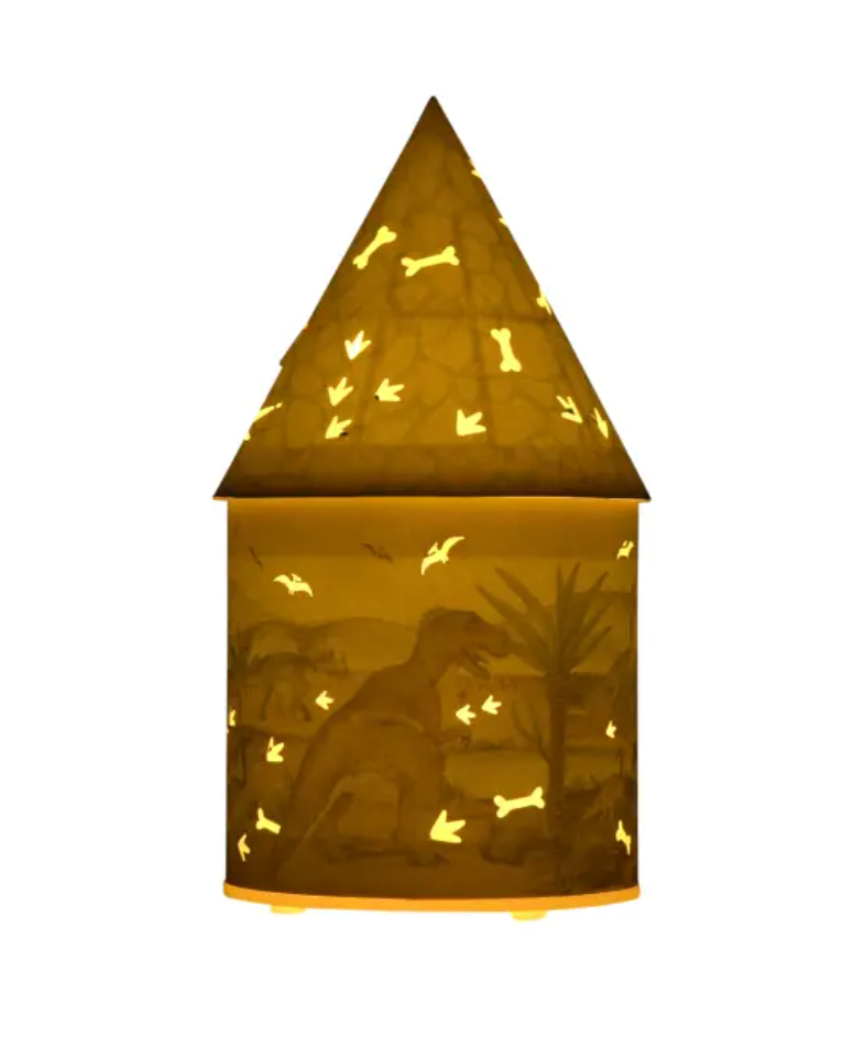 Dinosaur Light Up House