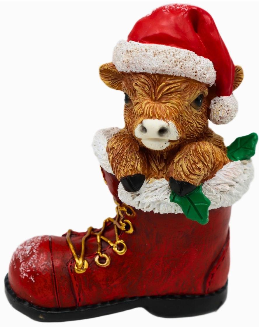 Highland Cows In Boot